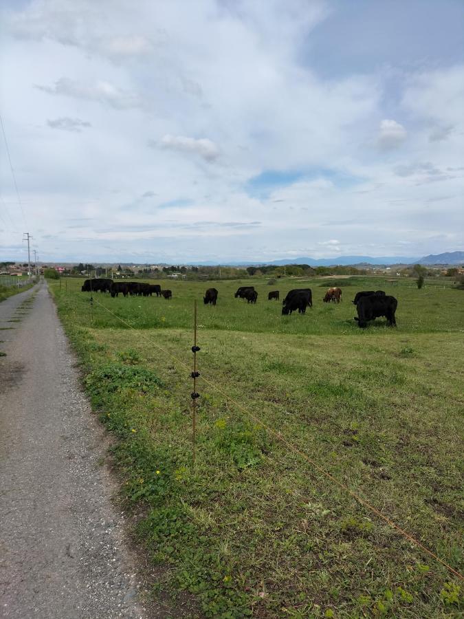 Rod Ranch Livestock - Appartamento Con Camino E Vista Piscina Campagnano Di Roma Bagian luar foto