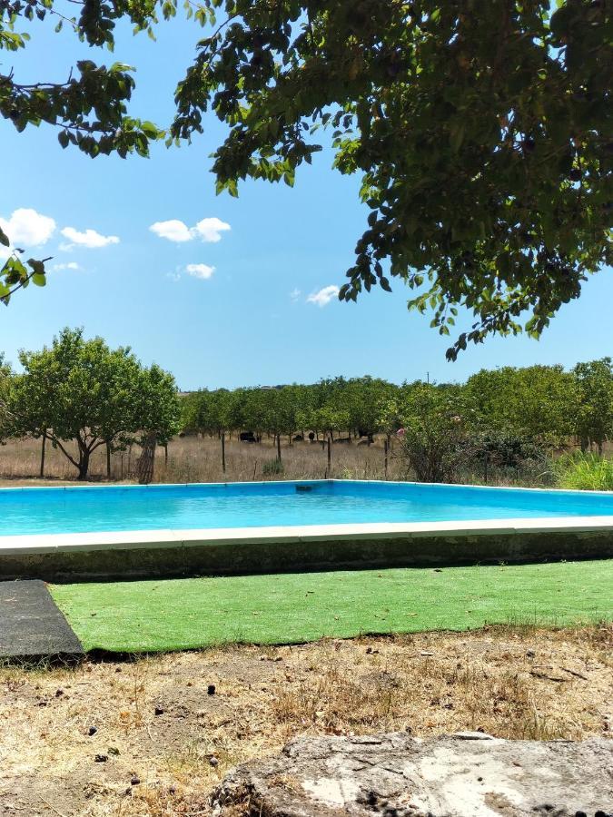 Rod Ranch Livestock - Appartamento Con Camino E Vista Piscina Campagnano Di Roma Bagian luar foto